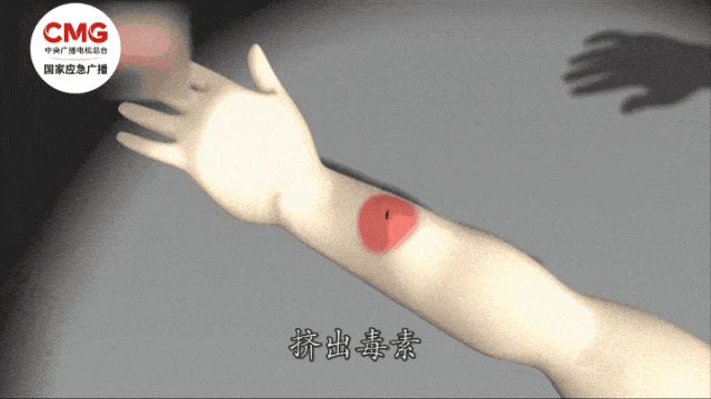 乌拉圭甲组联赛_今起乌拉圭甲组联赛，请少穿这种衣服出门！