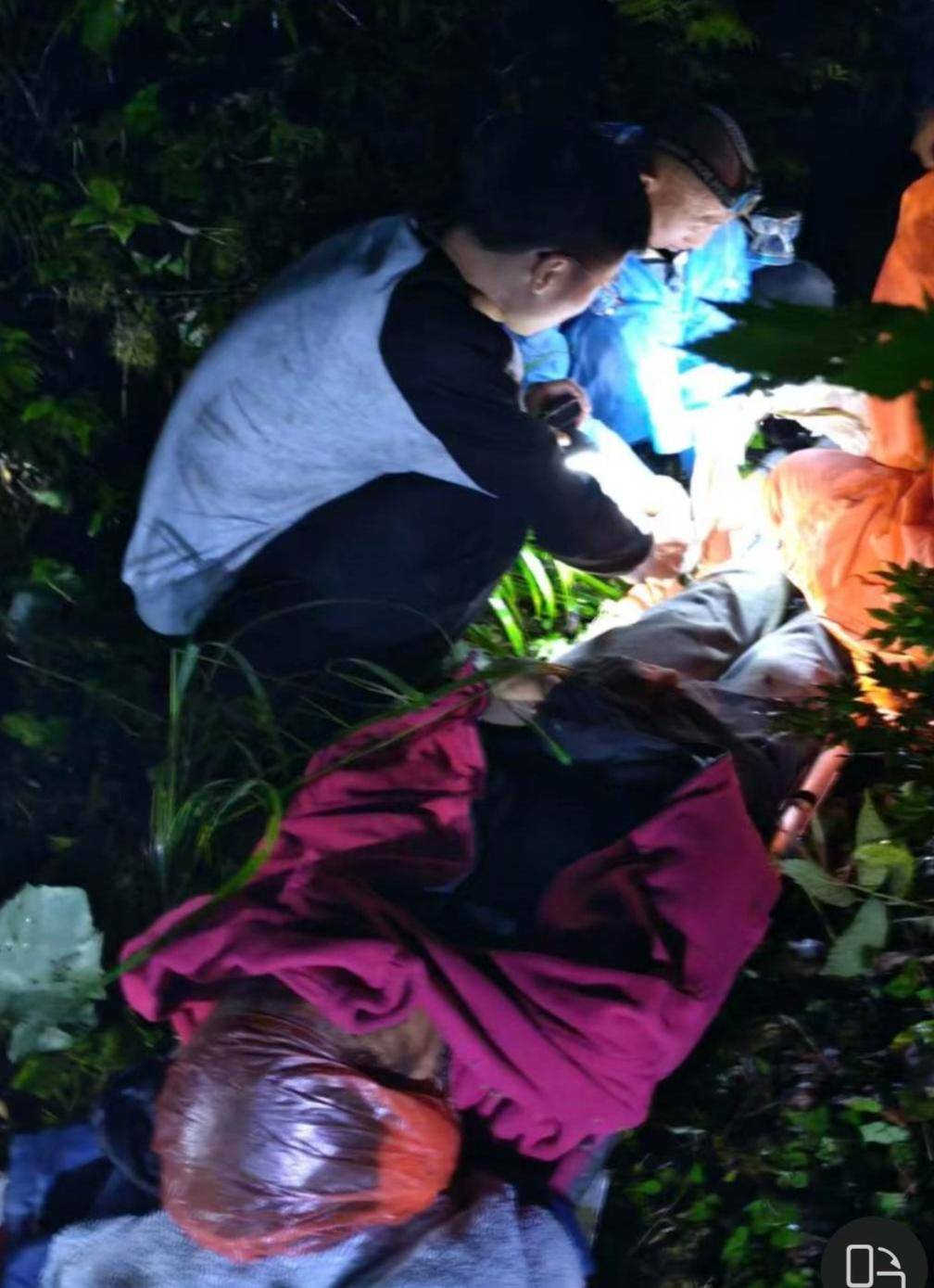 皇冠信用平台出租_重庆一男子上山采菌后遇熊袭击皇冠信用平台出租，幸亏穿了雨靴！20余名村民连夜救援