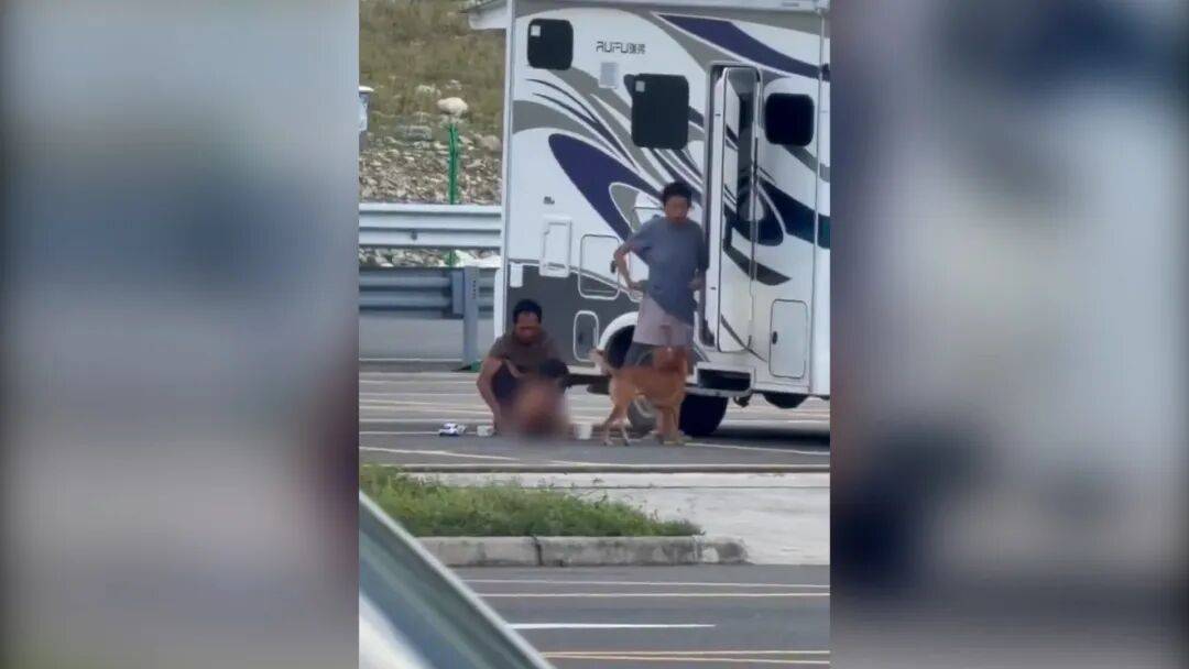 皇冠登3管理出租
_村民:“野人小孩”父亲上山“灵修”后就不正常皇冠登3管理出租
了