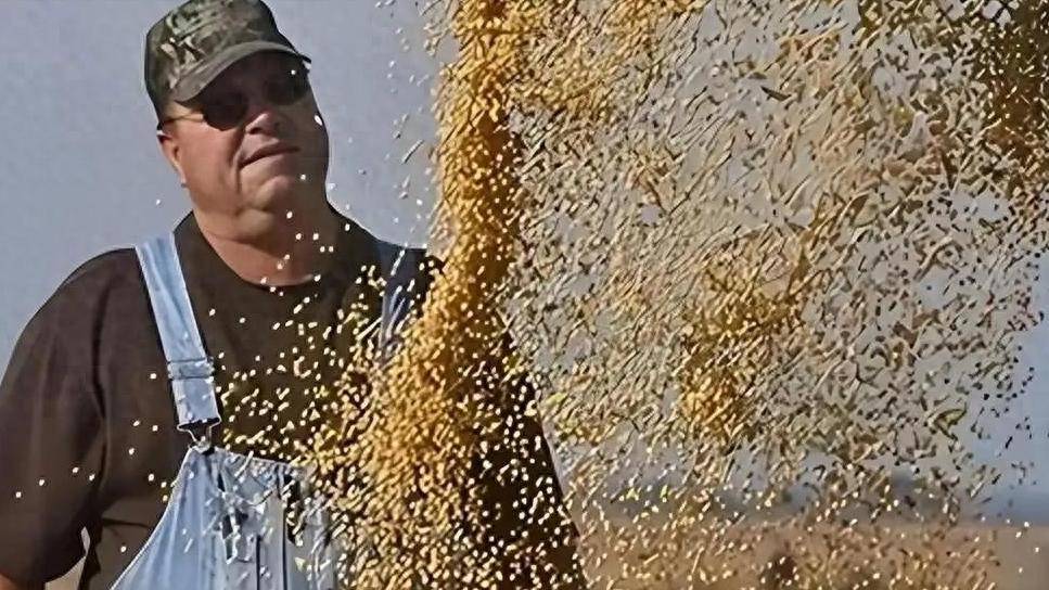 皇冠信用网代理平台
_200万吨大豆烂港!巴西主动降价皇冠信用网代理平台
,中国转头下单三船美国大豆,巴西自食其果了