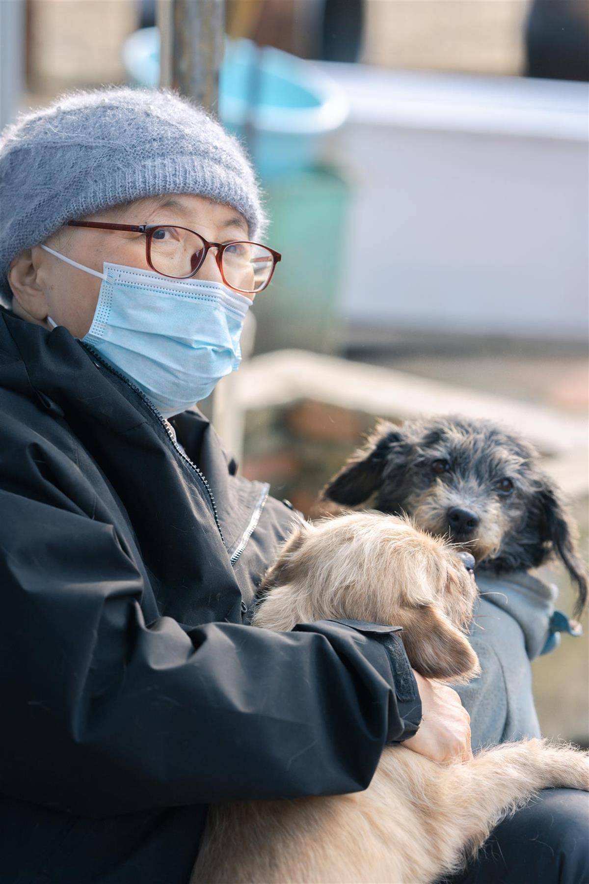 皇冠信用盘网址
_合肥卖房救助流浪狗的魏阿姨离世皇冠信用盘网址
，病中仍然惦记着基地的600只流浪狗，工人：不敢相信世上还有这样执着的人