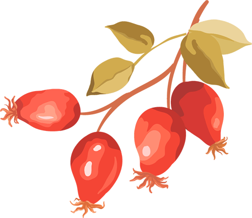 皇冠代理註冊
_浙江工业大学姚建华教授：飞秒激光打造“防冰盔甲”皇冠代理註冊
，超疏水表面光热防冰 又强又稳” | 中国激光·封面