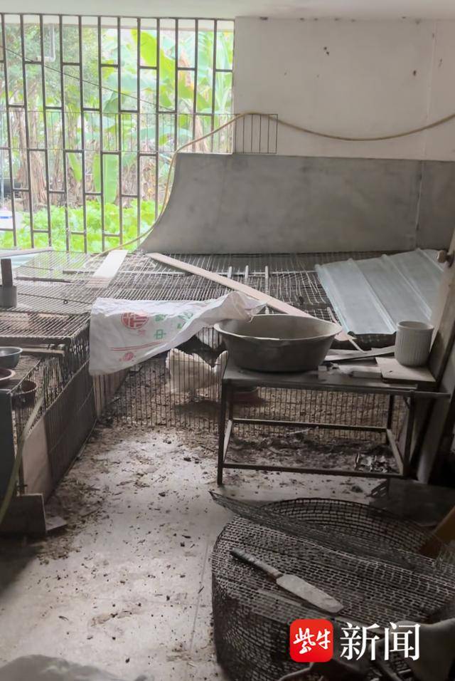 如何代理皇冠信用网_离谱！男子耗资500多万元建造的别墅被邻居强占如何代理皇冠信用网，地下室养了几十只鸡鸭，警方介入后仍三番五次偷搬东西