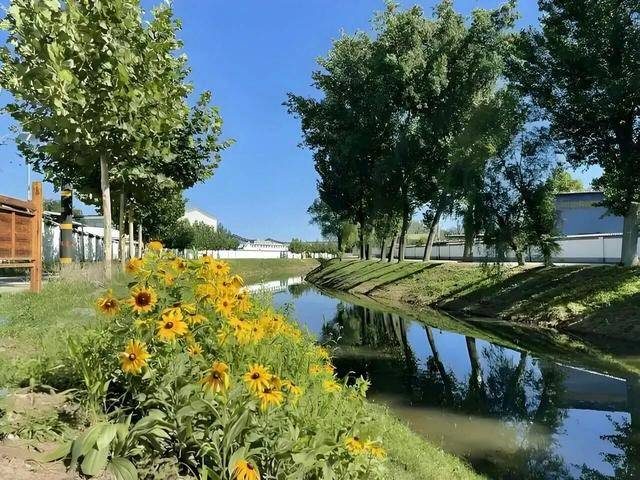 皇冠信用网最高占成_“挺壮观皇冠信用网最高占成,好像水被煮开了”!时隔30余年,顺义箭杆河泉眼复涌