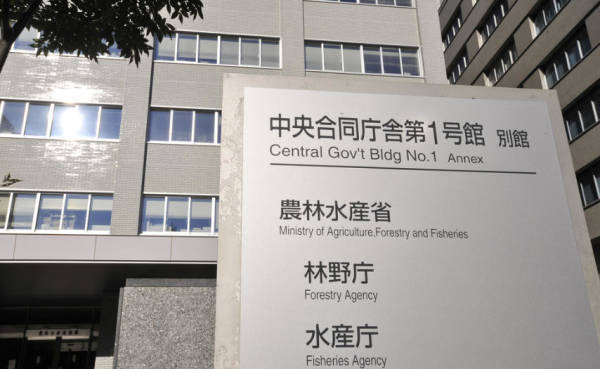 皇冠信用网代理出租_日方释放被捕中国船员皇冠信用网代理出租,外交部:正协助安全返回