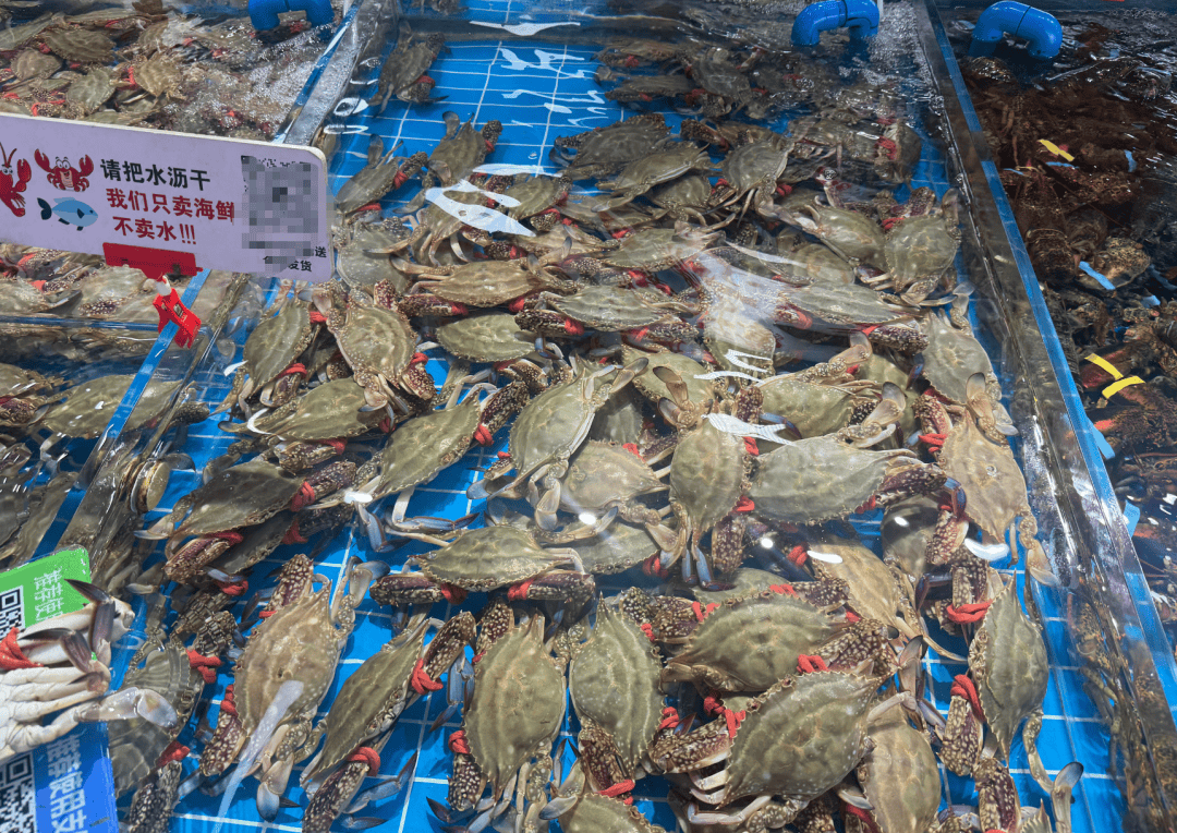 皇冠信用网最新地址_价格猛降！山东大批量上市皇冠信用网最新地址，济南商贩：“到下午基本就卖光了”