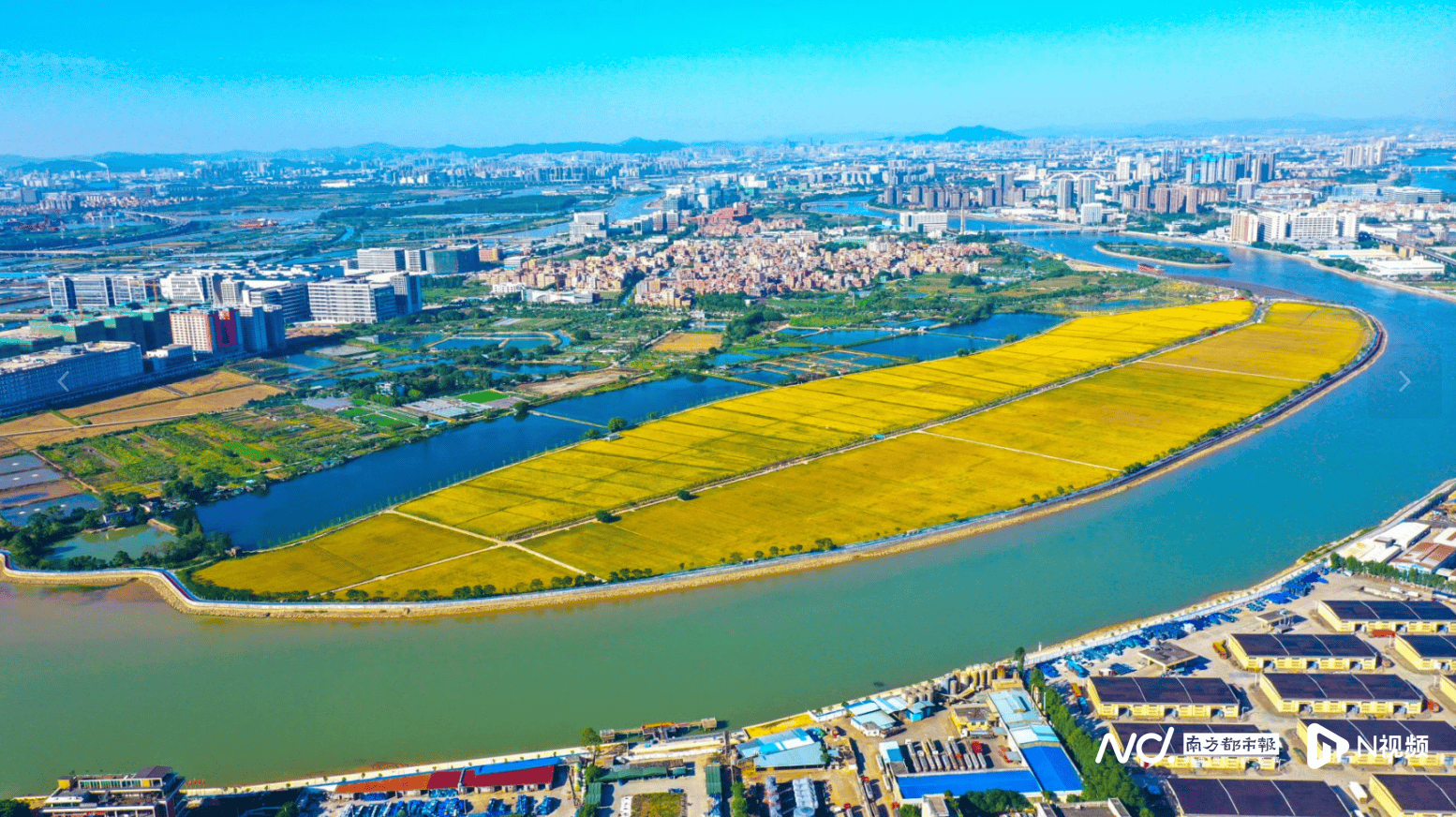 皇冠足球平台代理申请_东莞拟出新规：自愿退出农村宅基地皇冠足球平台代理申请，可获经济补偿